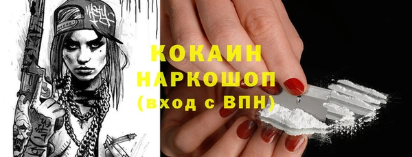 ешки Алексин
