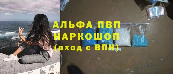 ешки Алексин