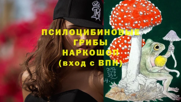 ешки Алексин