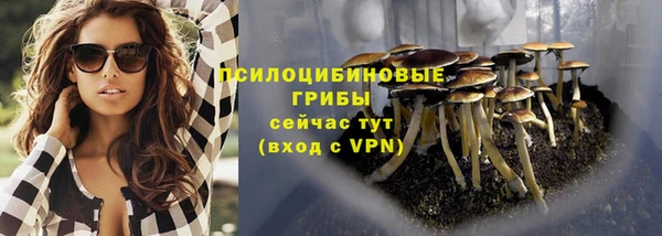 ешки Алексин