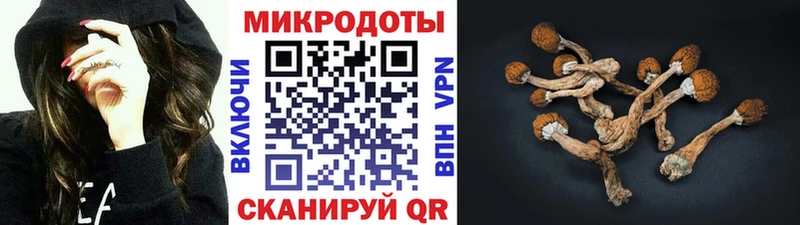 Псилоцибиновые грибы ЛСД  хочу   даркнет как зайти  Александровское 
