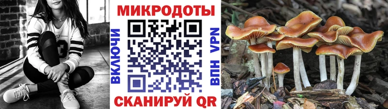 Галлюциногенные грибы мицелий Александровское