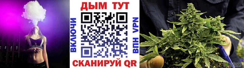 Бошки Шишки планчик  сколько стоит  Александровское 